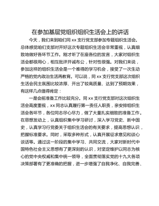 在参加基层党组织组织生活会上的讲话 (2)