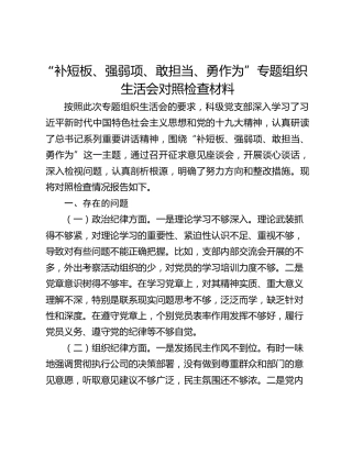 “补短板、强弱项、敢担当、勇作为”专题组织生活会对照检查材料 (2)