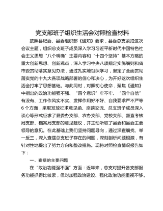 党支部班子组织生活会对照检查材料 (2)