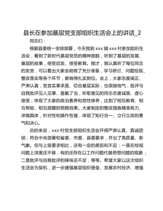 县长在参加基层党支部组织生活会上的讲话_2