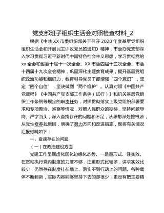 党支部班子组织生活会对照检查材料_2