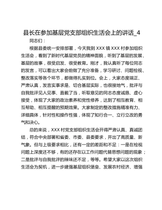 县长在参加基层党支部组织生活会上的讲话_4