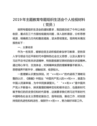 20XX年主题教育专题组织生活会个人检视材料（党员）