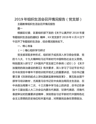 2019年组织生活会召开情况报告（党支部）
