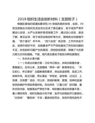 2019组织生活会剖析材料（支部班子）