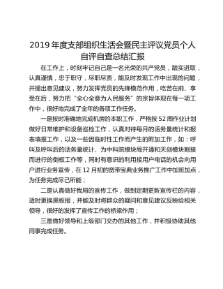 2019年度支部组织生活会暨民主评议党员个人自评自查总结汇报