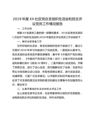 2019年度XX社区党总支组织生活会和民主评议党员工作情况报告