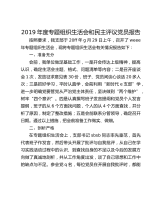 2019年度专题组织生活会和民主评议党员报告