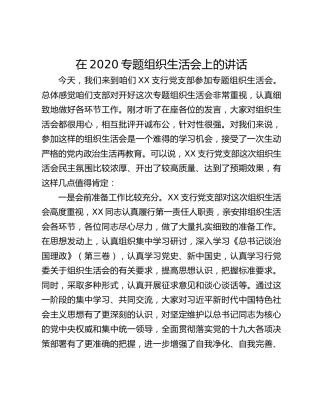 在2020专题组织生活会上的讲话