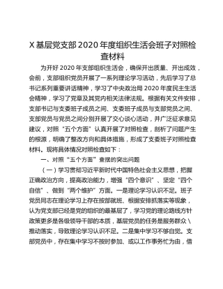 X基层党支部2020年度组织生活会班子对照检查材料