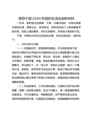 领导干部2020年组织生活会剖析材料 (2)