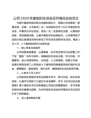 公司2020年度组织生活会召开情况总结范文