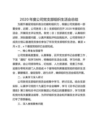 2020年度公司党支部组织生活会总结