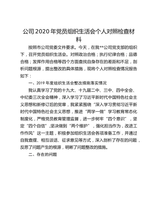 公司2020年党员组织生活会个人对照检查材料