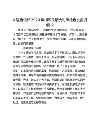 X巡查组长2020年组织生活会对照检查发言提纲_2