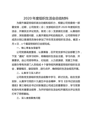 2020年度组织生活会总结材料