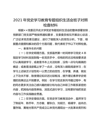 2021年党史学习教育专题组织生活会班子对照检查材料
