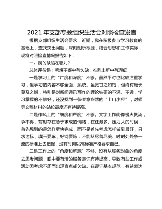 2021年支部专题组织生活会对照检查发言