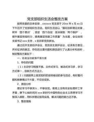 党支部组织生活会整改方案