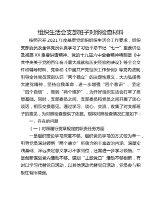 组织生活会支部班子对照检查材料