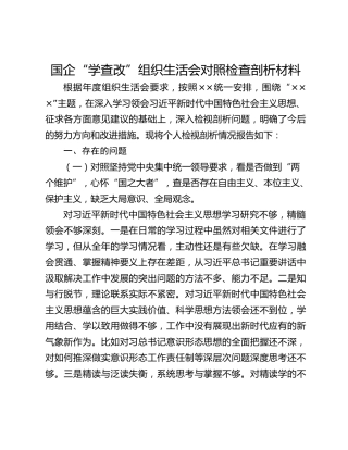 国企“学查改”组织生活会对照检查剖析材料