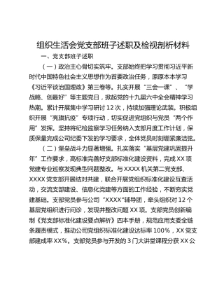 组织生活会党支部班子述职及检视剖析材料