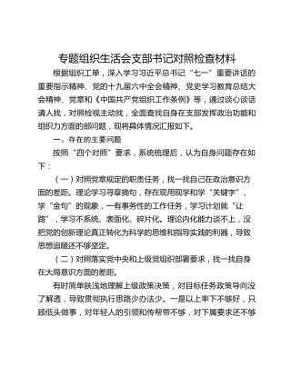 专题组织生活会支部书记对照检查材料