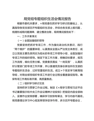 局党组专题组织生活会情况报告