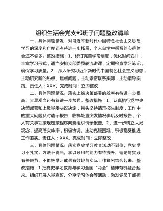 组织生活会党支部班子问题整改清单