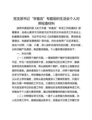 党支部书记“学查改”专题组织生活会个人对照检查材料