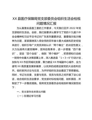 XX县医疗保障局党支部委员会组织生活会检视问题情况汇报