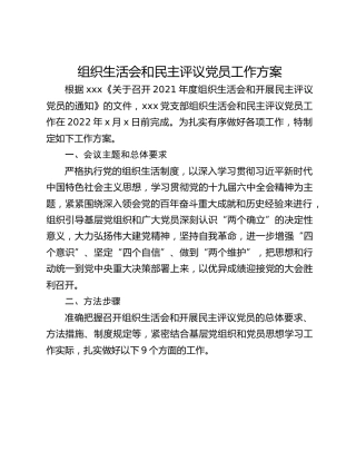 组织生活会和民主评议党员工作方案