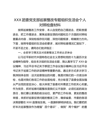 XXX团委党支部巡察整改专题组织生活会个人对照检查材料