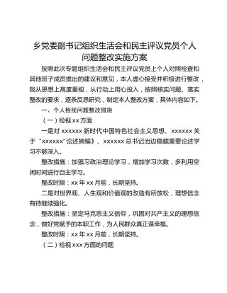 乡党委副书记组织生活会和民主评议党员个人问题整改实施方案