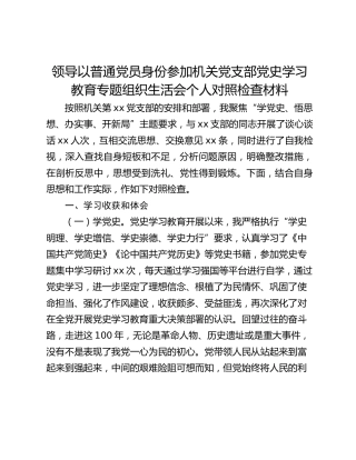 领导以普通党员身份参加机关党支部党史学习教育专题组织生活会个人对照检查材料 (2)