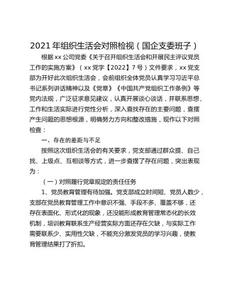 2021年组织生活会对照检视（国企支委班子）