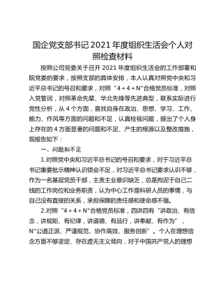 国企党支部书记2021年度组织生活会个人对照检查材料