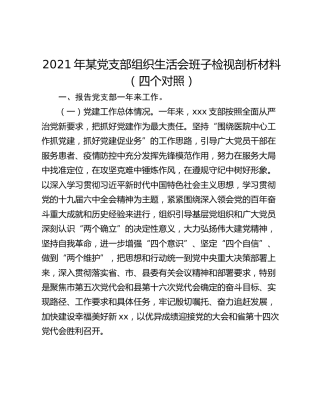 2021年某党支部组织生活会班子检视剖析材料（四个对照）