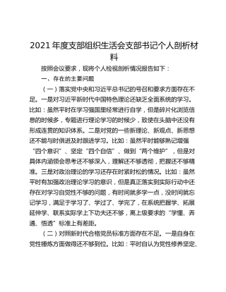 2021年度支部组织生活会支部书记个人剖析材料