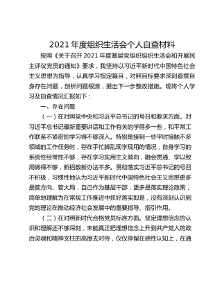 2021年度组织生活会个人自查材料