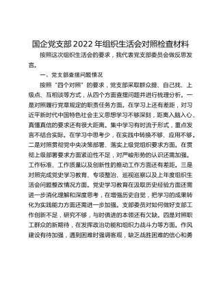 国企党支部2022年组织生活会对照检查材料