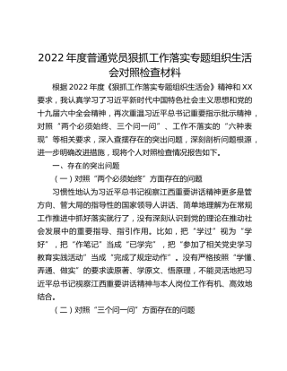 2022年度普通党员狠抓工作落实专题组织生活会对照检查材料