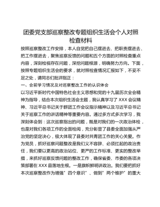 团委党支部巡察整改专题组织生活会个人对照检查材料