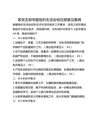 某党支部专题组织生活会相互提意见集锦