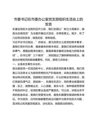 市委书记在市委办公室党支部组织生活会上的发言