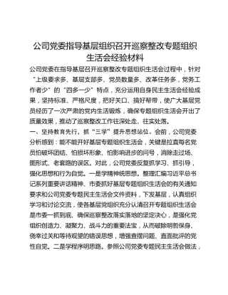 公司党委指导基层组织召开巡察整改专题组织生活会经验材料