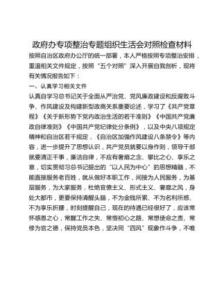 政府办专项整治专题组织生活会对照检查材料