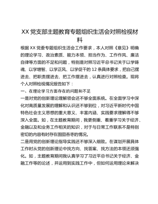 XX党支部主题教育专题组织生活会对照检视材料