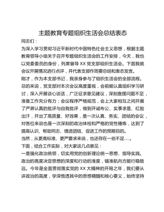 主题教育专题组织生活会总结表态