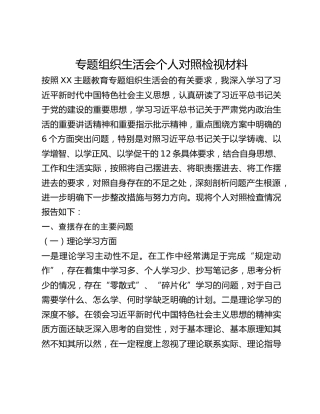 专题组织生活会个人对照检视材料